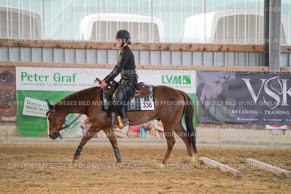 DSC08761 | Pferdegrafie