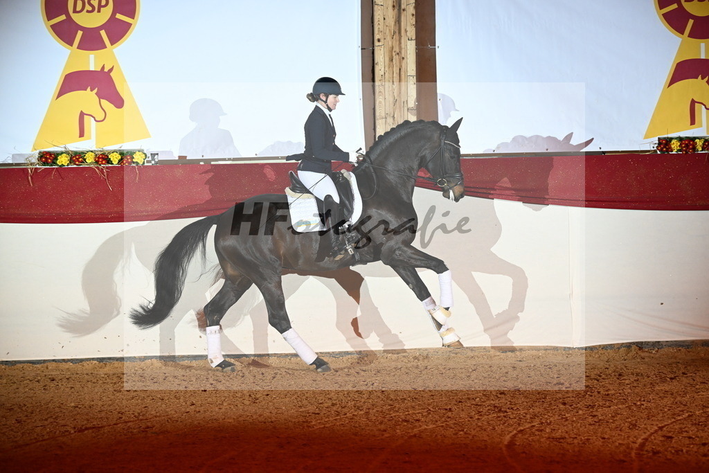San__Haug_3262104 | hf-fotografie - Realisiert mit Pictrs.com