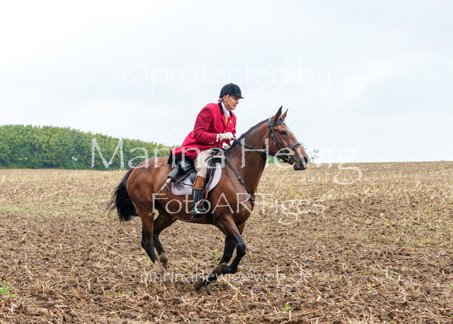 Jagd Kletkamp 26-03015_MarinaHewig | Fotografie, FotoArt, PferdesportArt, Pferdesportfotografie, Landschaftsfotografie, Reisefotografie, Reise, Pferde - Realisiert mit Pictrs.com