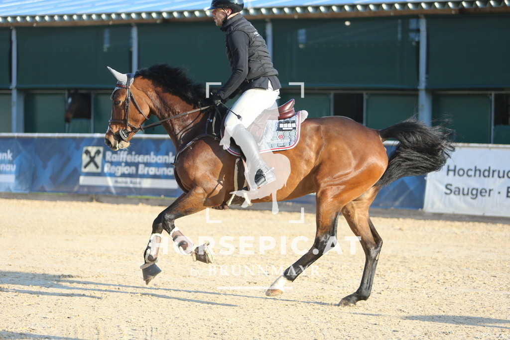 DL2Q7404 | Willkommen bei Brunnmayr - Design & Fotografie – Ihrem Spezialisten für Reitturniere und Pferdeveranstaltungen in Oberösterreich, Salzburg und Bayern! Seit über 17 Jahren sind wir leidenschaftlich dabei.