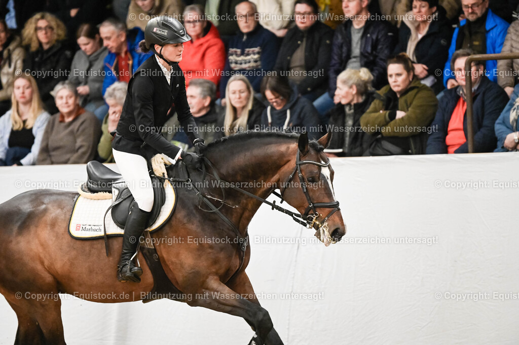20260307_Hengstvorstellung-Marbach_0145 | equistock