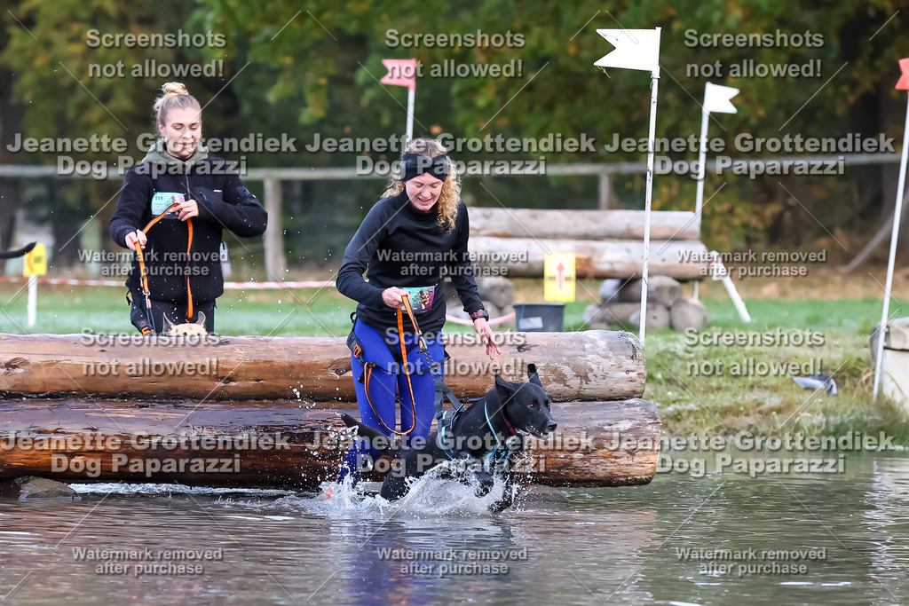 Dog Paparazzi - Strongdog 10-25-6300 | Dog Paparazzi Jeanette Grottendiek Fotografie & Videografie - Realisiert mit Pictrs.com