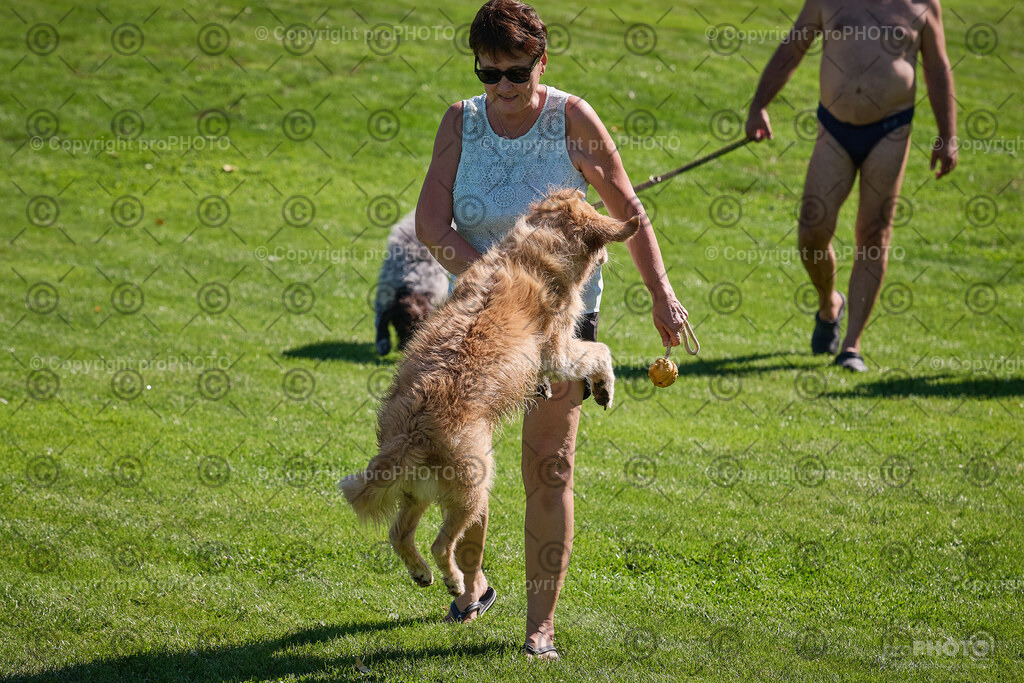 063_202509_4Hundebadetag_NZ9_2298 | proPHOTO - Realisiert mit Pictrs.com