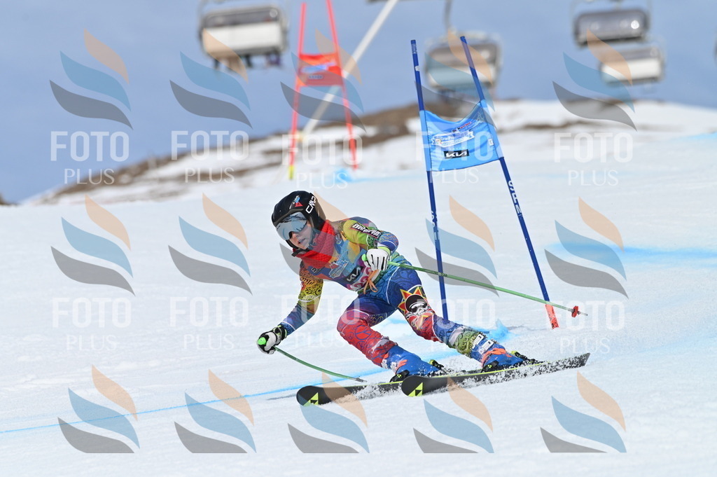 BGV_1384 | holidayphoto