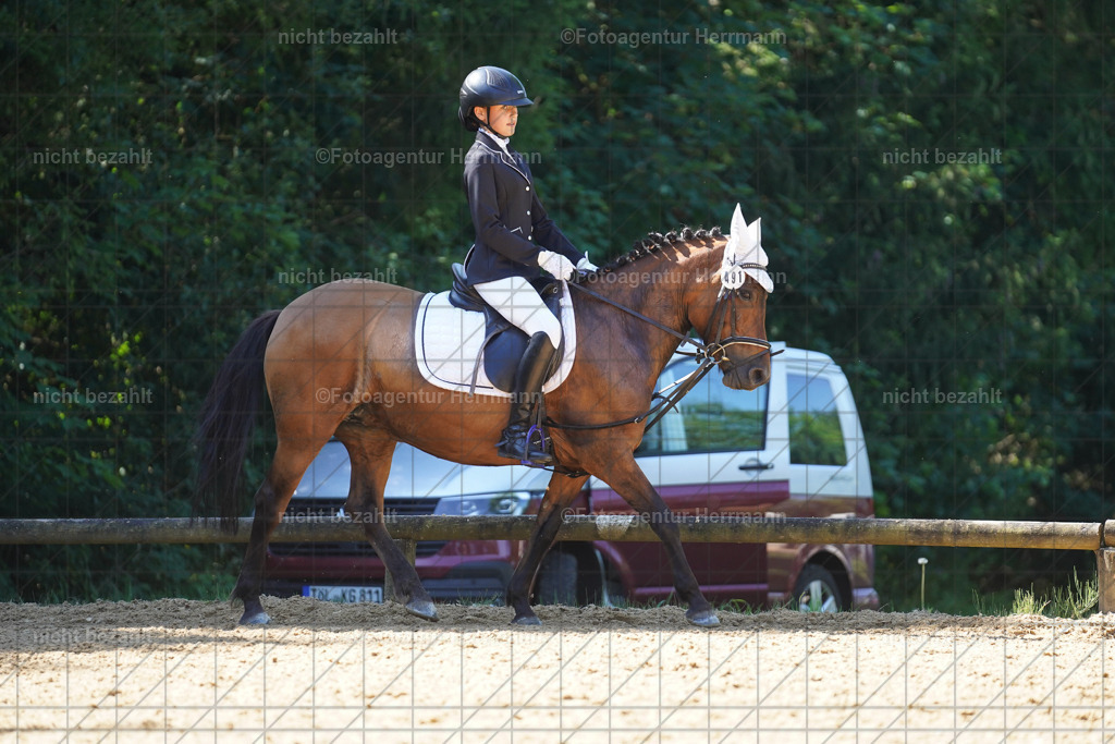 20240706-FAH04938 | Grafing Turnierfotos, Reitverein Ebersberg, Turnierfotografen Bayern, reitsportbilder, Pferdefotograf, reitsportfotograf, Sportbilder, Reitsportfotografie, Fotoagentur Herrmann, Turnierfotograf