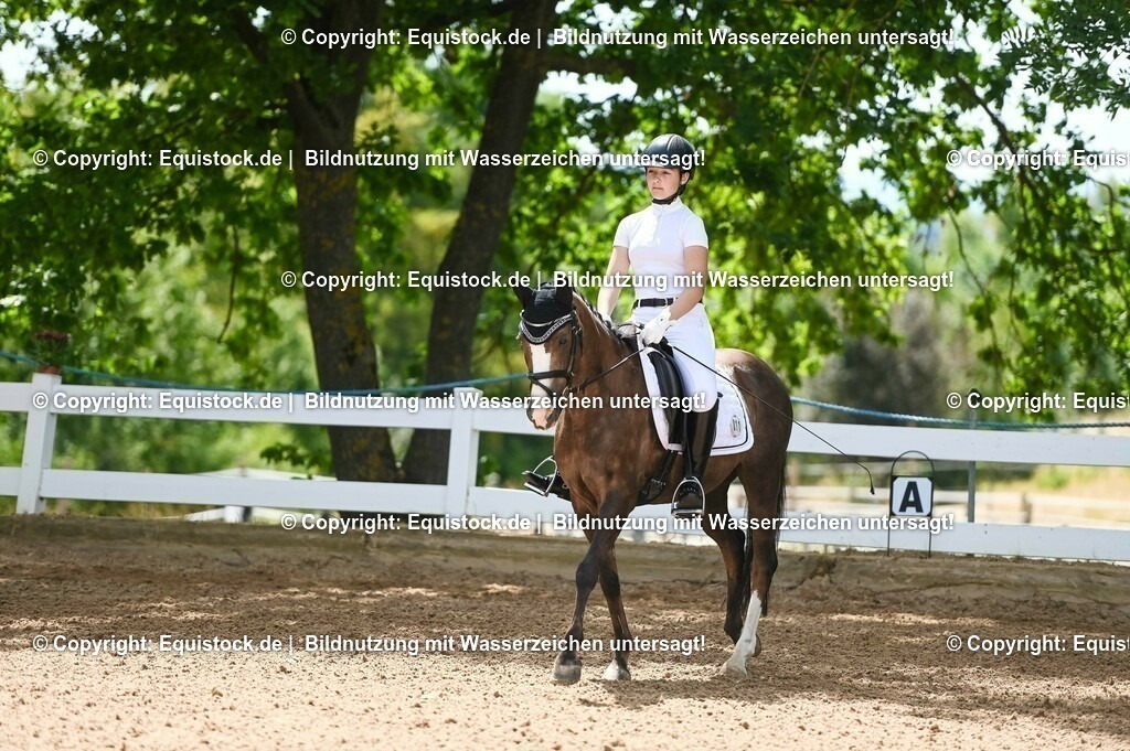 20230715_09_Dressur-WB_0110 | equistock