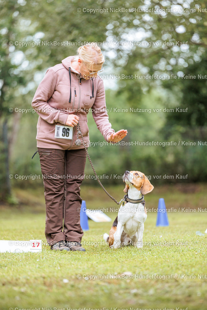 RO-Blumenthal-2026-Nickbest-Hundefotografie-4904 | Dein Hund! Dein Moment! Deine Erinnerungen! Hundefotografie in Bremen Blumenthal. Ich fange die besonderen Momente deines Vierbeiners ein – ob Indoor mit Blitzanlage oder in der freien Natur. Sicher dir dein Moment und dein Termin für eure Erinnerungen.