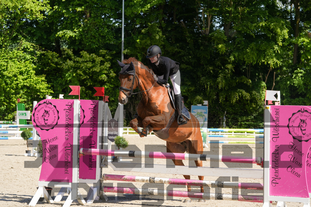 DSC02142 | Julian Held Fotografie - Realisiert mit Pictrs.com