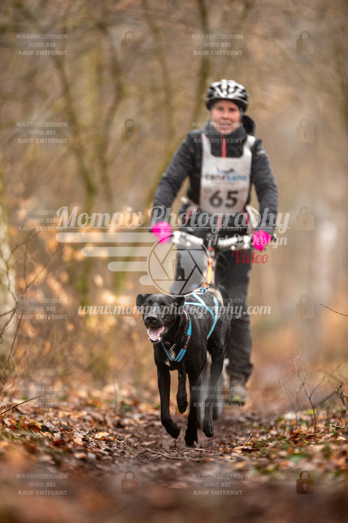 Reiat2023_SON_Bike_5km_1H-31 | PayLife