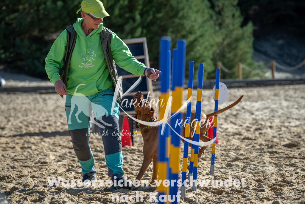 1152_ZZ92268-2 | kk-dogfotos
