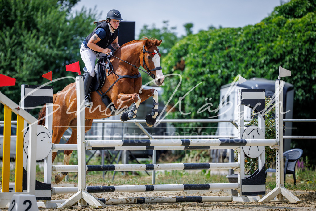 20260705-_3LI4208 | Tierfotografie Pferde, Hunde, Katzen, Haustiere.
Turnierfotografie Reitturniere, Reiten, Springreiten, Dressur in Hanau, dem Main-Kinzig-Kreis und dem Rhein-Main- Gebiet um Frankfurt