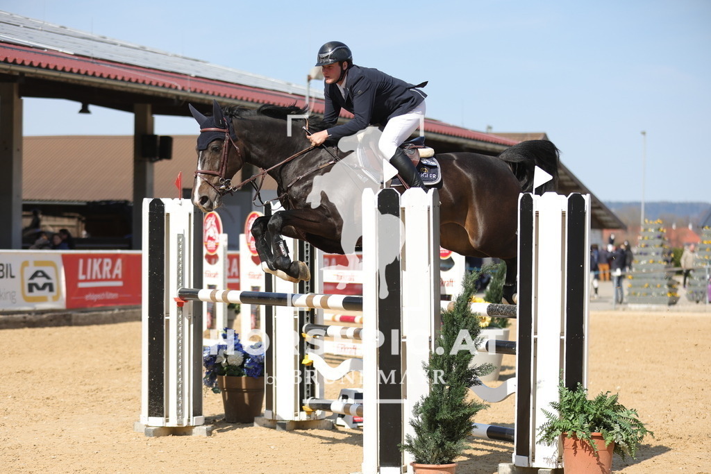 0P6A1535 | Willkommen bei Brunnmayr - Design & Fotografie – Ihrem Spezialisten für Reitturniere und Pferdeveranstaltungen in Oberösterreich, Salzburg und Bayern! Seit über 17 Jahren sind wir leidenschaftlich dabei.
