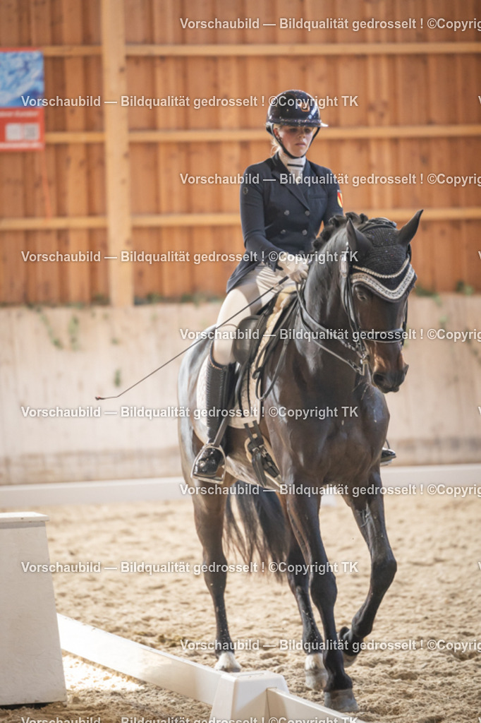 _D5A2963 | Emotionale Pferde- & People-Fotografie rund um Heidelberg, Leimen & Umgebung. Natürliche Fotos von Pferd, Mensch & Familie. Jetzt Termin sichern!