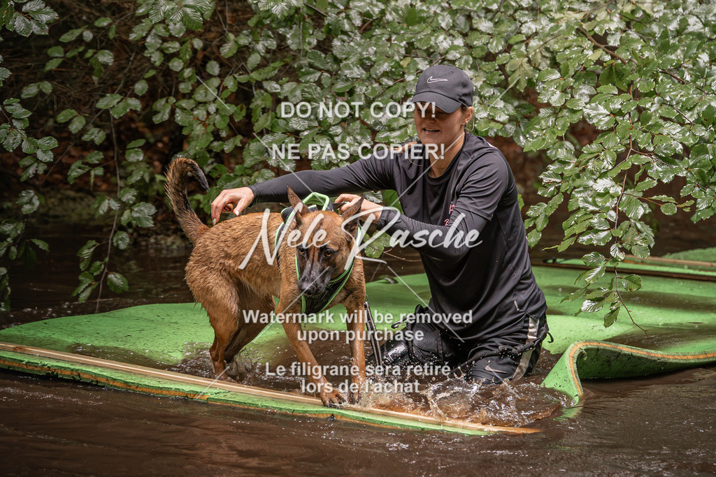nelerasche_Wingst_Sa1330-1400_82 | nelerasche