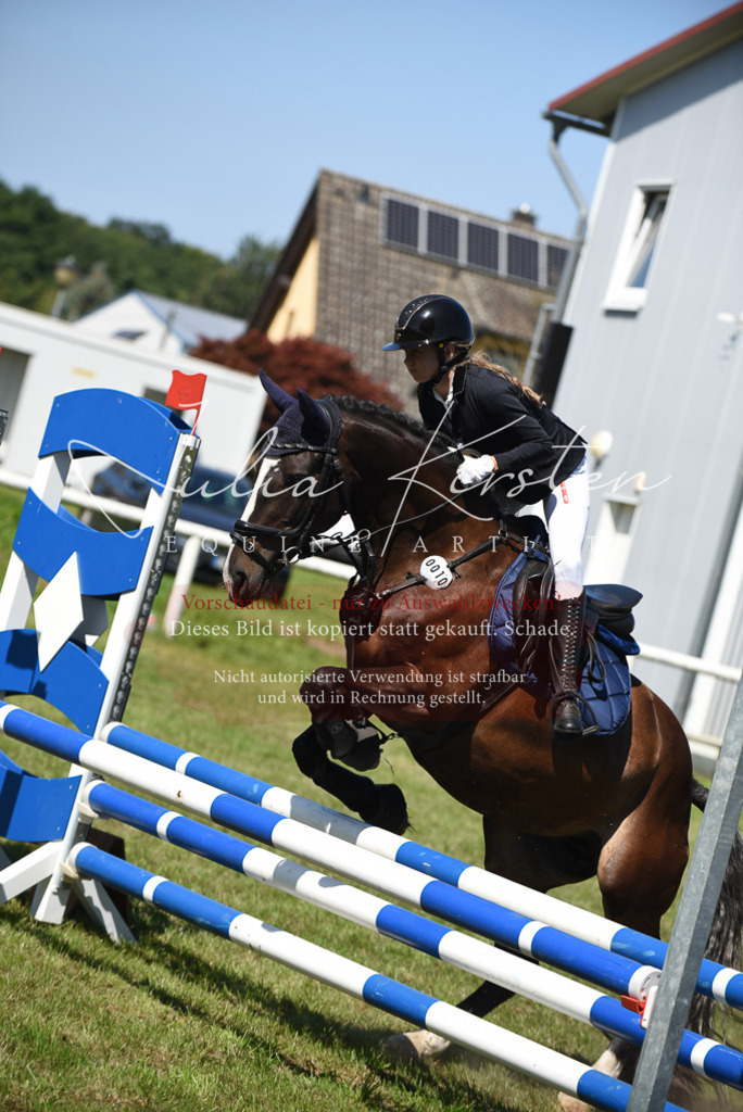 DSC_9584 | Pferde- und Turnierfotografie in Westsachsen. Pferdeportraits, Auftragszeichnungen und intuitive Kunst.