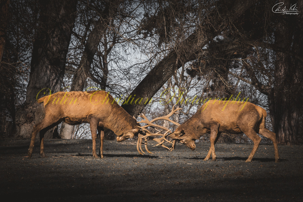 TPH 7 | Christian Vulin  - Realisiert mit Pictrs.com