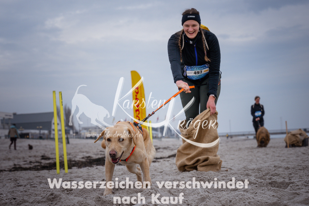 1213_ZZ92720 | kk-dogfotos