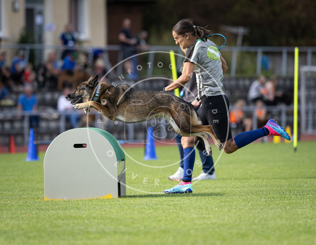 Pfotenfotografie_DV3A1837 | Hundefotografie, Tierfotograf, Pfotenfotografie, Fotoshooting Hund, Hunde Portrait, Hundesport, Hundeportraits, Heideshooting, Hunde, Sportfotograf, Hundefotograf, Turnierhundsport, THS,  - Realisiert mit Pictrs.com