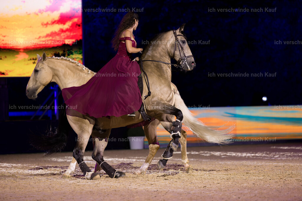 Gala-95 | working equitationturnier fotograf videograf stoibphotography marixx film working equitation deutschland reitsport turnierfotografie eventfotografie equestrian events