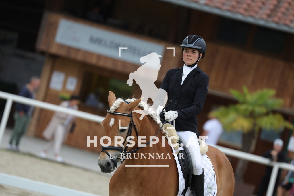 0P6A7085 | Willkommen bei Brunnmayr - Design & Fotografie – Ihrem Spezialisten für Reitturniere und Pferdeveranstaltungen in Oberösterreich, Salzburg und Bayern! Seit über 17 Jahren sind wir leidenschaftlich dabei.