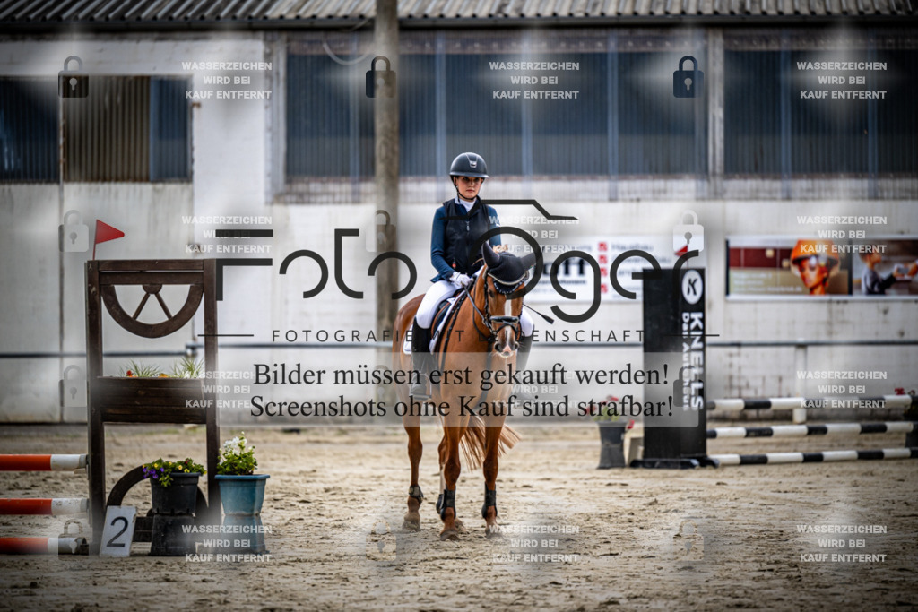 Turnier Laggenbeck 2026-15-0070 | Entdecke hochwertige Reitturnierfotos von Foto Oger. Professionell, emotional und authentisch – jetzt Lieblingsmomente im Shop bestellen.Deutschlandweite Turnierfotografie. - Realisiert mit Pictrs.com