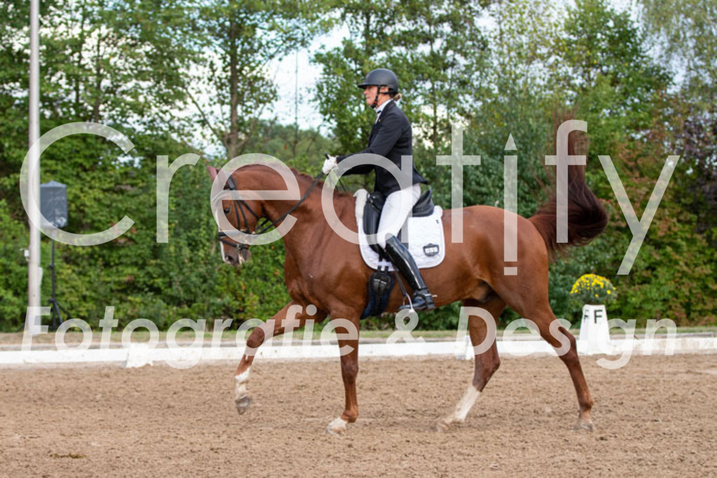 IMG_4992 | Creatify Fotografie