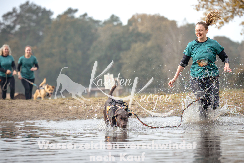 1119_ZZ93976 | kk-dogfotos