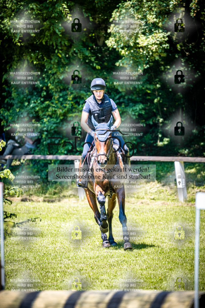 2026-05 - Melle Oldendorf-1-0026 | Entdecke hochwertige Reitturnierfotos von Foto Oger. Professionell, emotional und authentisch – jetzt Lieblingsmomente im Shop bestellen.Deutschlandweite Turnierfotografie. - Realisiert mit Pictrs.com