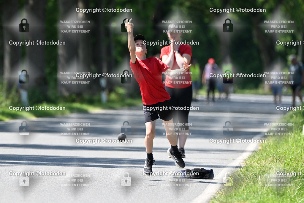 DSC_0294 | Jarno Wittje / Bredhorn / mJu E Holz