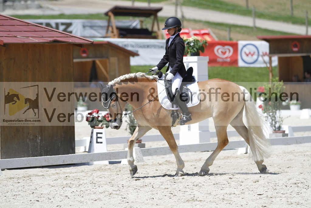 _MG_5037 | equestrian-live-com