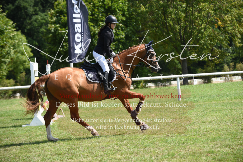 DSC_0027 | Pferde- und Turnierfotografie in Westsachsen. Pferdeportraits, Auftragszeichnungen und intuitive Kunst.