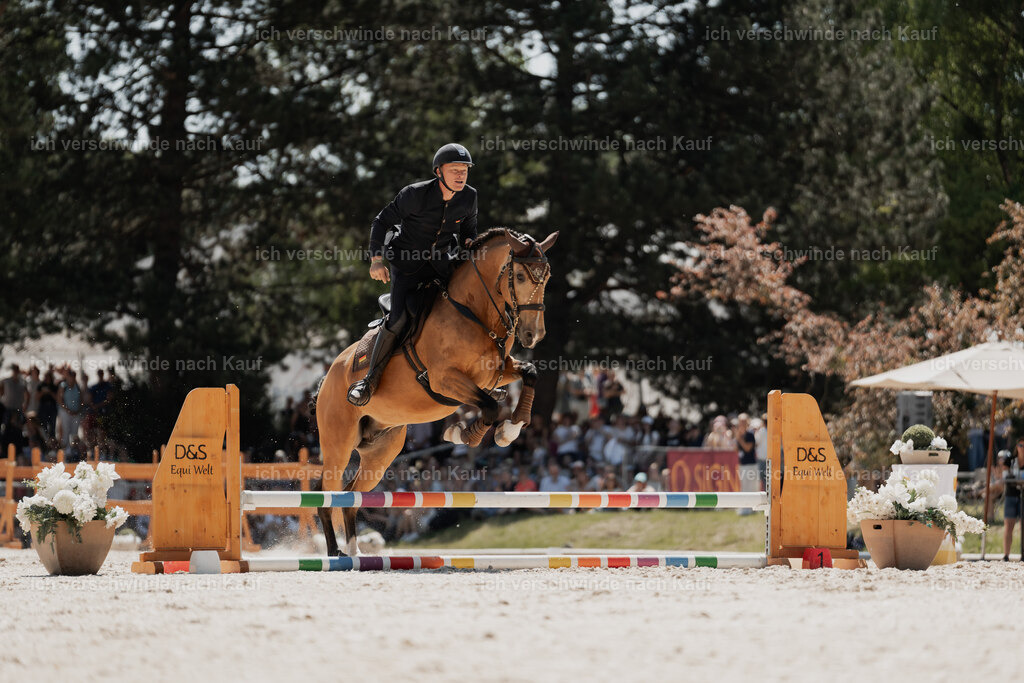 WE_SP_Stoib_311_PI2025_1681 | Pferd International München 2025