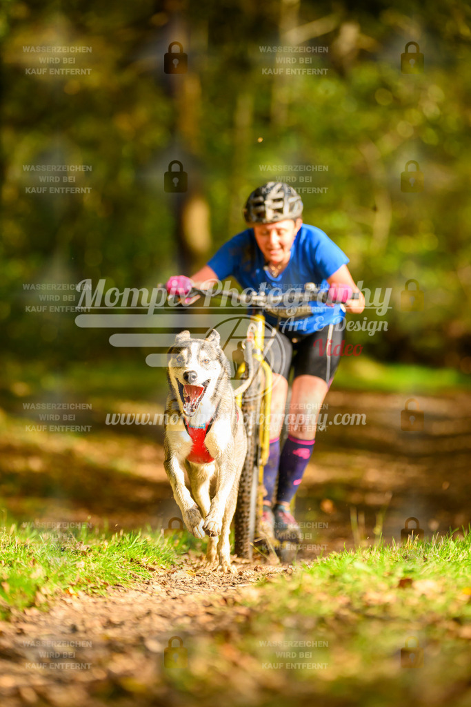 MompixPhotography_20TSB_E1_DS1-11 | PayLife