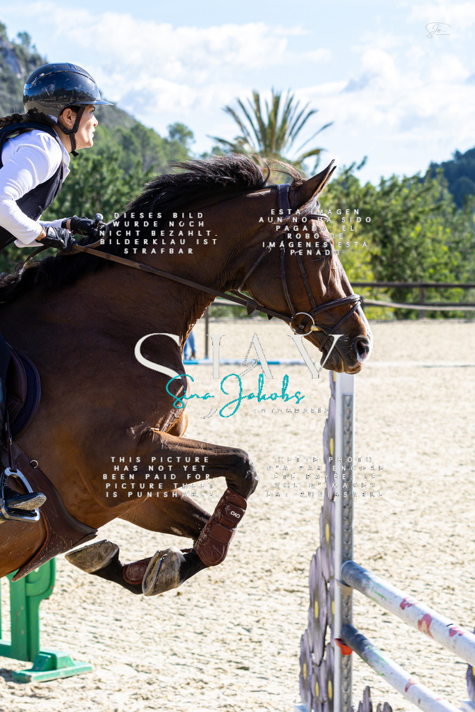 IMG_0809 | s-jay-photography - Realisiert mit Pictrs.com