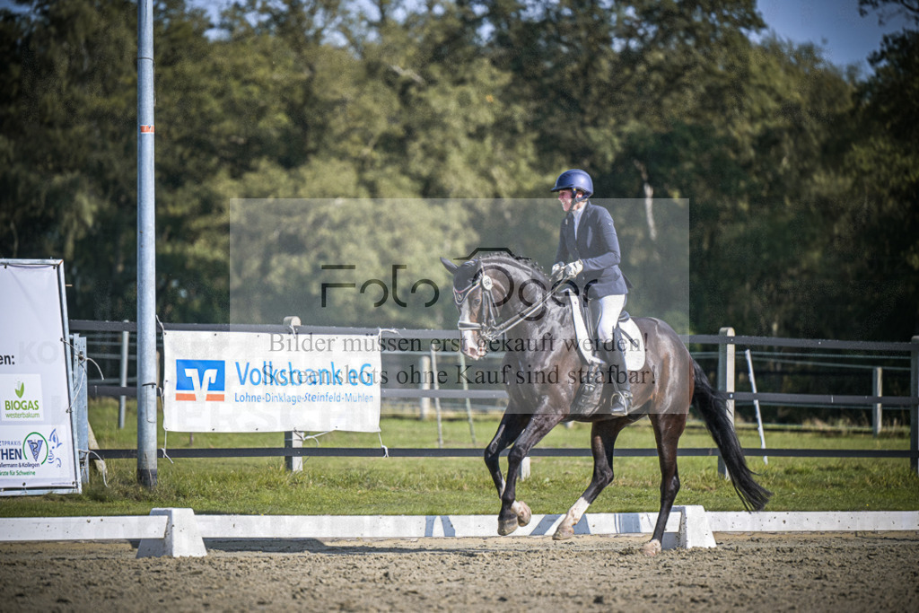 DOS_2486 | Entdecke hochwertige Reitturnierfotos von Foto Oger. Professionell, emotional und authentisch – jetzt Lieblingsmomente im Shop bestellen.Deutschlandweite Turnierfotografie. - Realisiert mit Pictrs.com