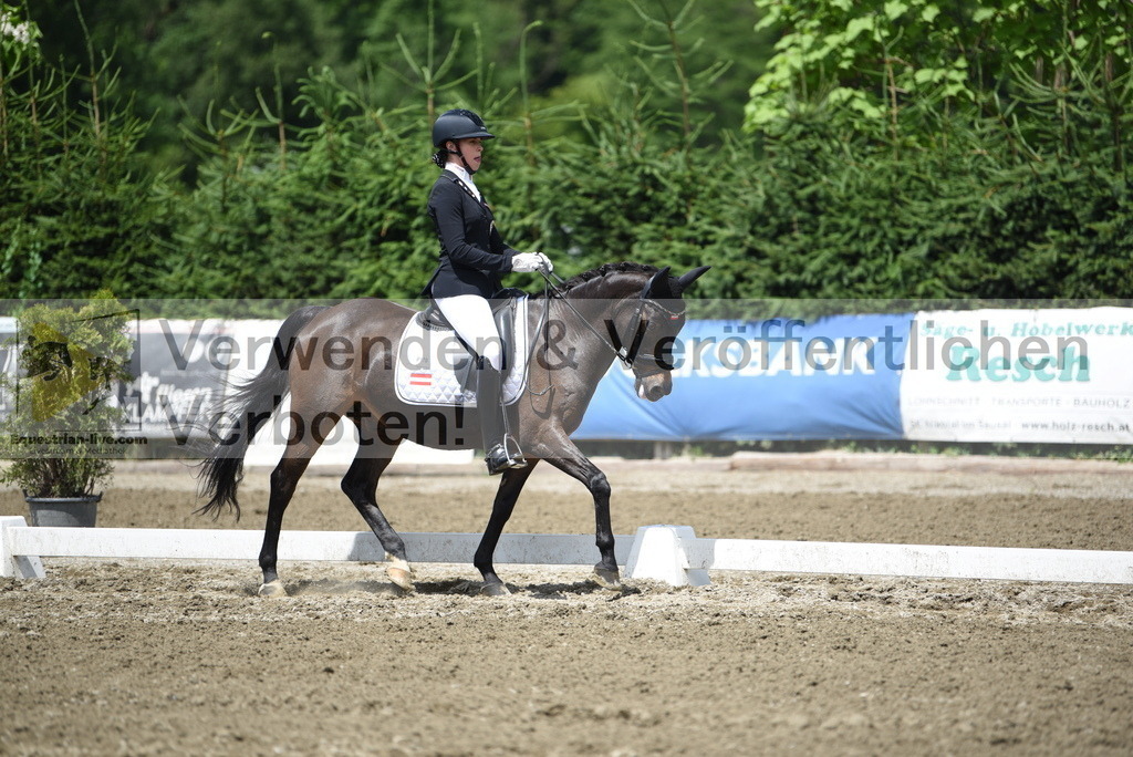 DSC_1402 | equestrian-live-com