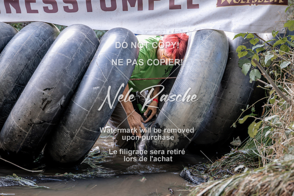 nelerasche_Hunsrück2026_Sa1400-1500_47 | nelerasche