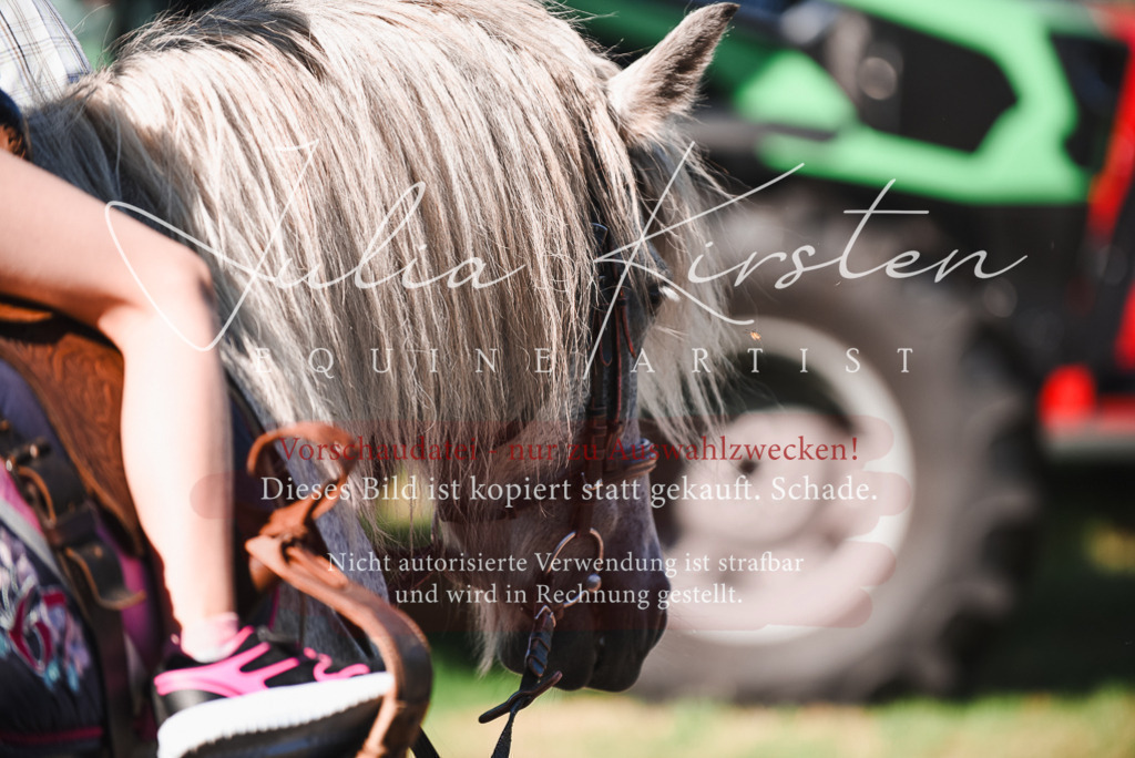 DSC_2664 | Pferde- und Turnierfotografie in Westsachsen. Pferdeportraits, Auftragszeichnungen und intuitive Kunst.