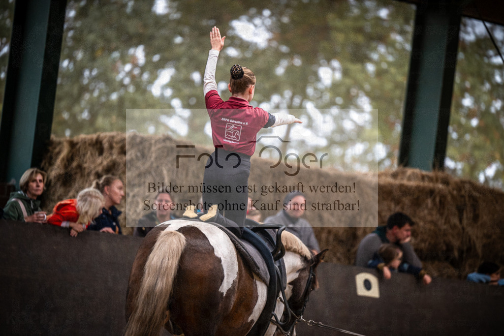 DOS_0098 | Entdecke hochwertige Reitturnierfotos von Foto Oger. Professionell, emotional und authentisch – jetzt Lieblingsmomente im Shop bestellen.Deutschlandweite Turnierfotografie. - Realisiert mit Pictrs.com