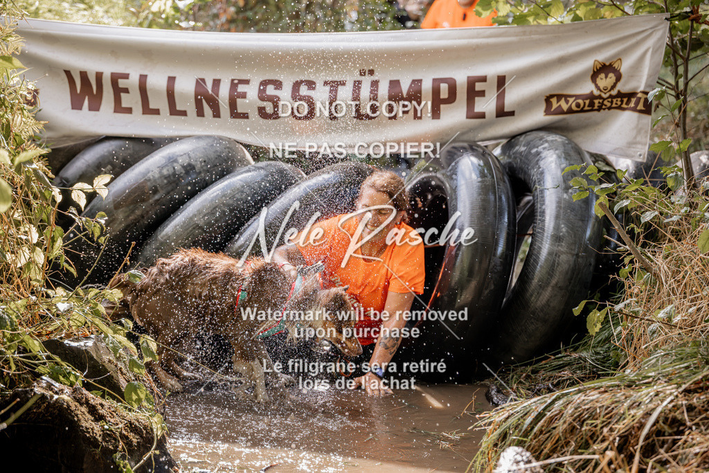 nelerasche_Hunsrück2026_Sa1400-1500_235 | nelerasche