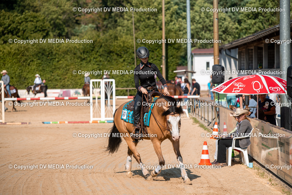 ZS2_8813 | dv-media-shop - Realisiert mit Pictrs.com