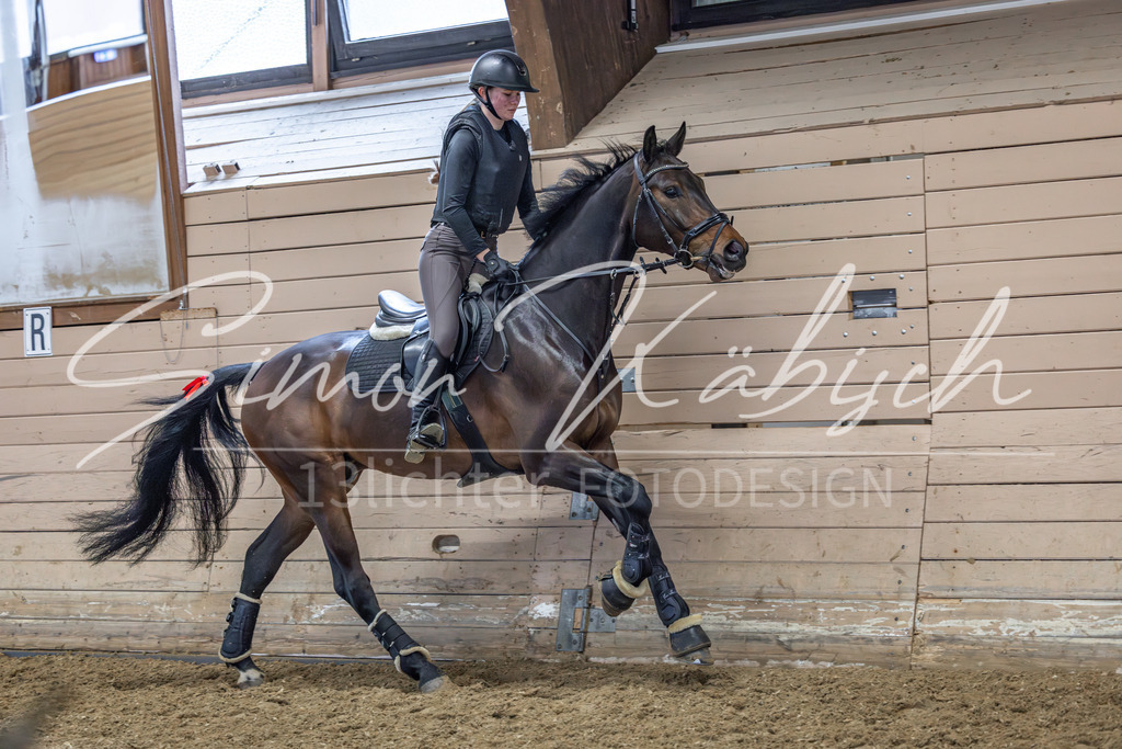 20260222-_3LI1832 | Tierfotografie Pferde, Hunde, Katzen, Haustiere.
Turnierfotografie Reitturniere, Reiten, Springreiten, Dressur in Hanau, dem Main-Kinzig-Kreis und dem Rhein-Main- Gebiet um Frankfurt