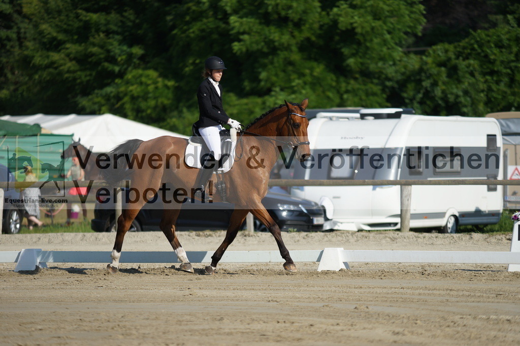 DSC04072 | equestrian-live-com
