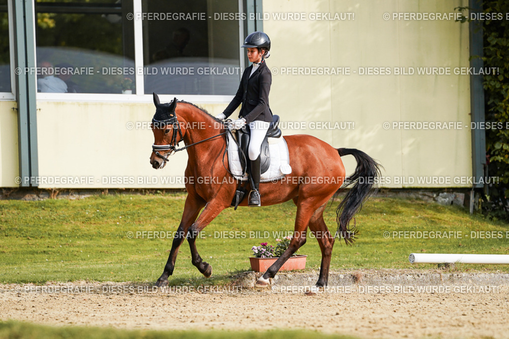 DSC05139 | Pferdegrafie