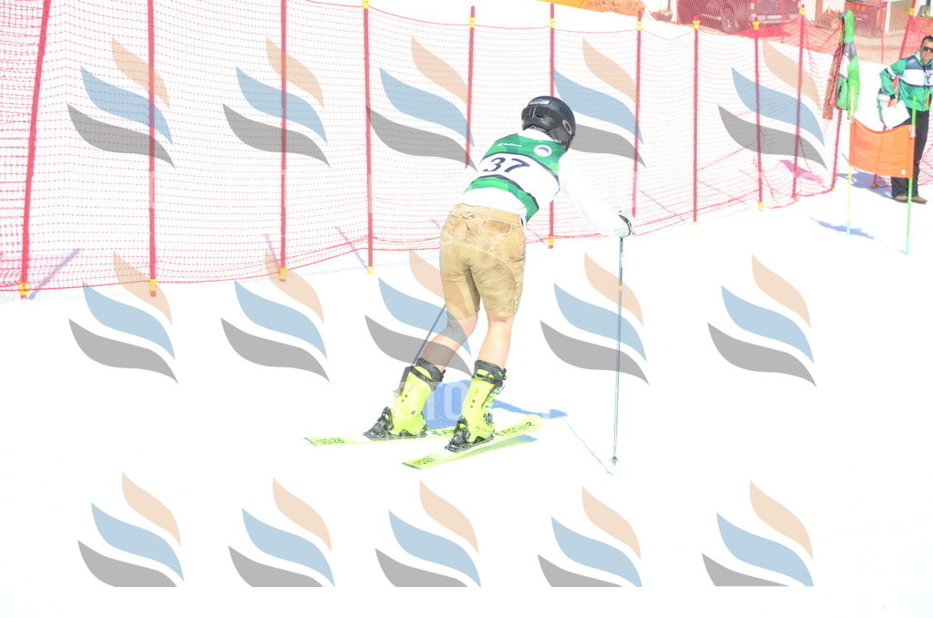 C6983 | holidayphoto