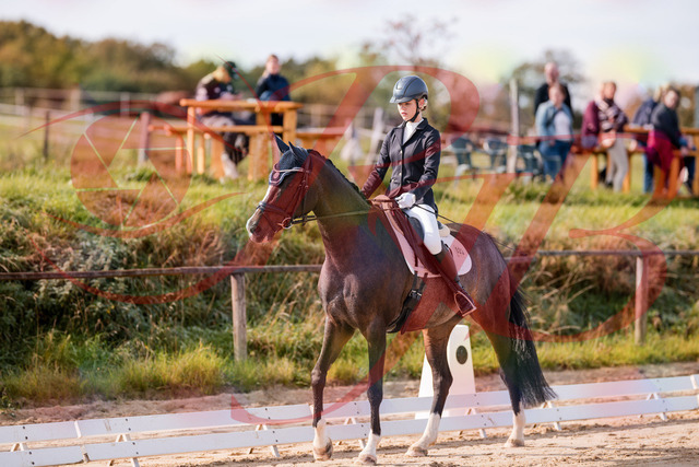 2026_10_03_Siefer-Hof_113242_Z81_78860028 | Professionelle Reitsport-, Turnier- und Eventfotografie von Robert Broda. Galerien mit ausgewählten und bearbeiteten Bildern direkt online ansehen und bestellen.