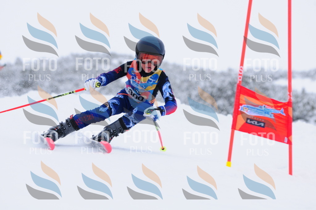 C3176 | holidayphoto