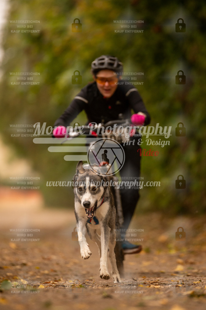 CDLBDB_14_10_2023_Samedi-152 | PayLife