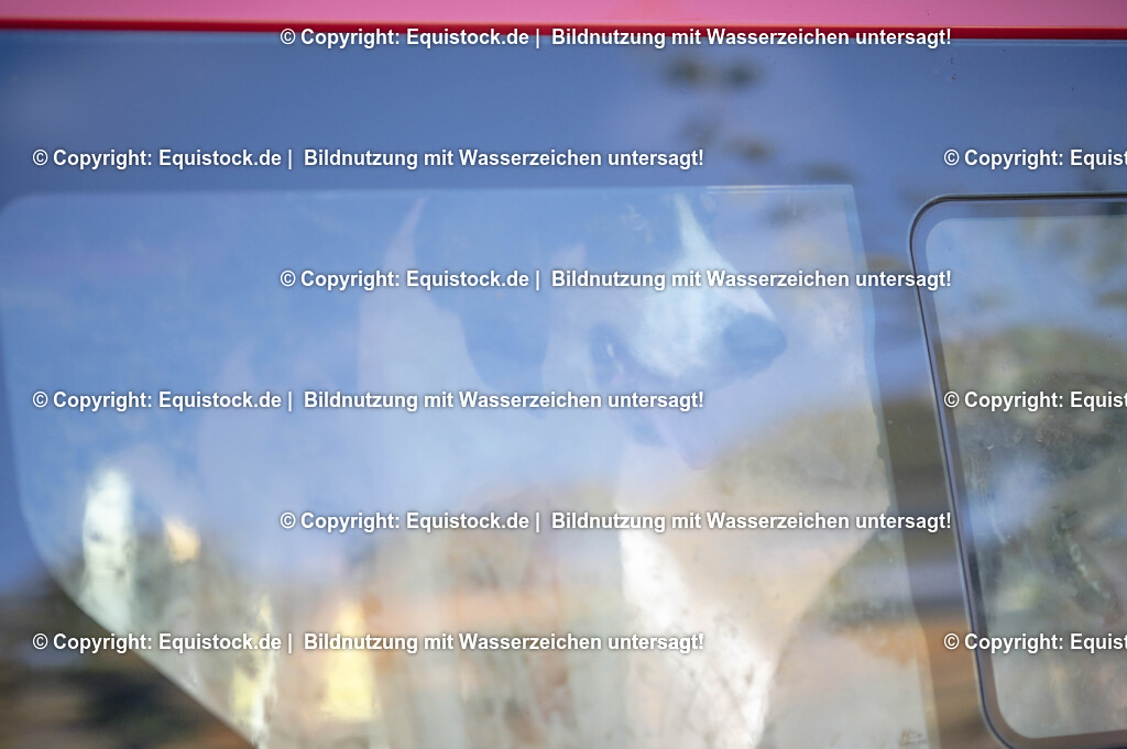 20251011_Jagd-Marbach_0091 | Foto: Thomas Hartig