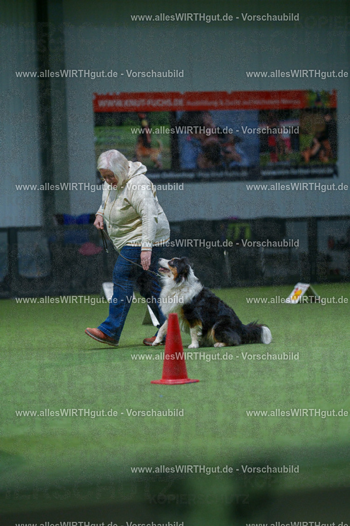 7R501456 | Professionelle Tierfotografie in Mönchengladbach von Daniel Wirth (allesWIRTHgut). Liebevolle & natürliche Bilder von Hunden & Katzen für unvergessliche Erinnerungen.